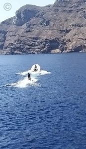 JulyYachting