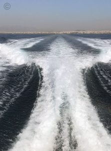 JulyYachting